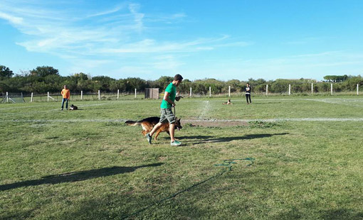 Centro-cinofilo-sportivo-Il-Bullicame.