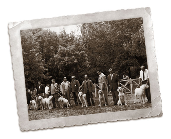 gruppo cinofilo viterbese nel 1956